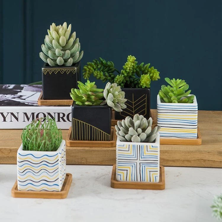 square ceramic plant pots 1