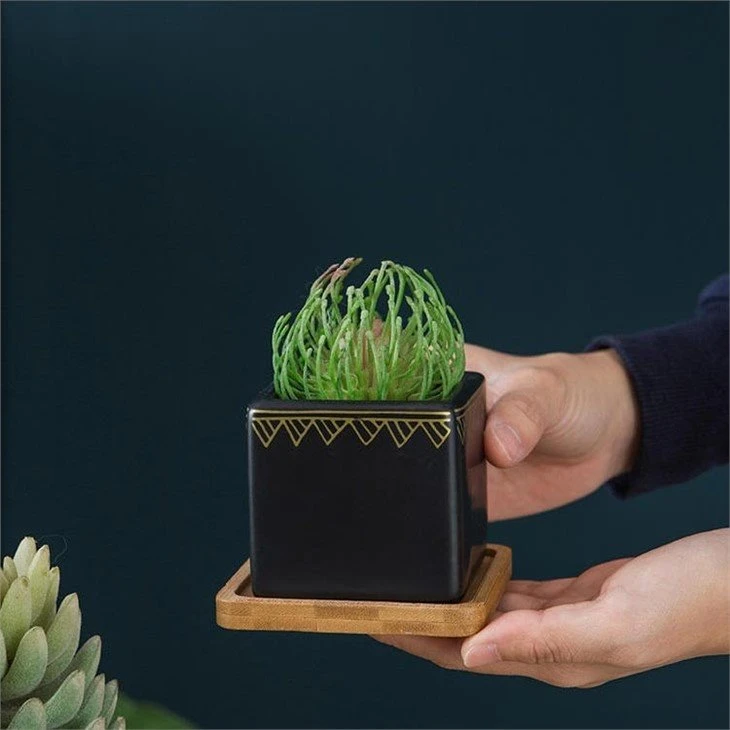 square ceramic plant pots 5